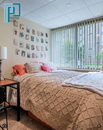 Bright Private Room Near Short Vine